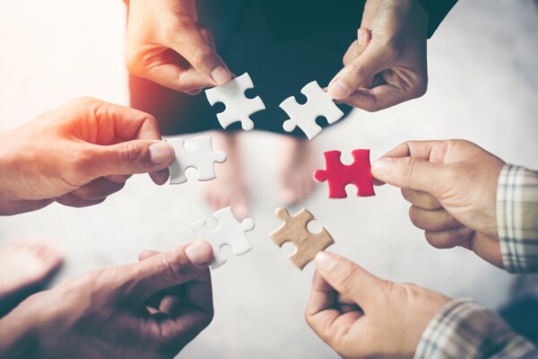 Family Business Consulting / Consultancy